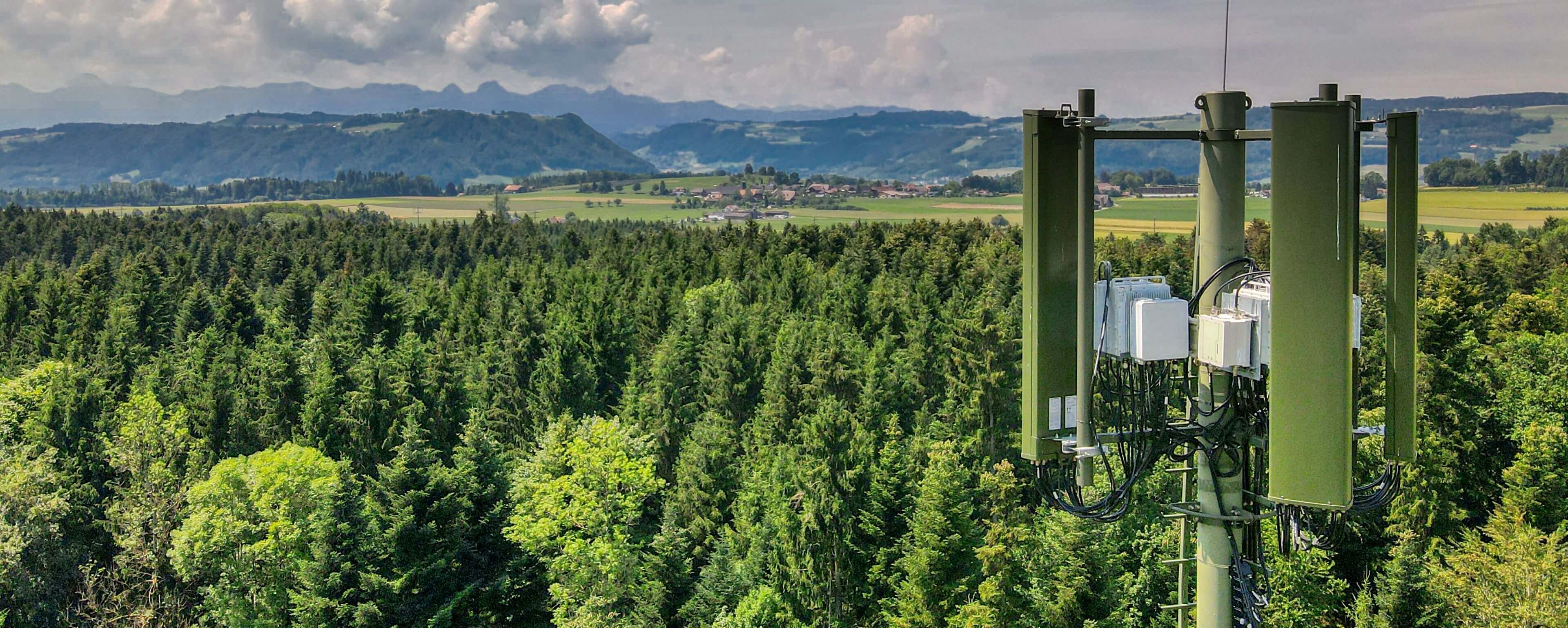header-leistungen.jpg
